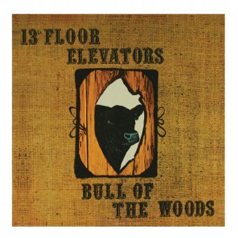 13th Floor Elevators - Bull Of The Woods - DCD