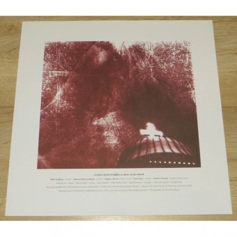 Buried Inside - Chronoclast - LP