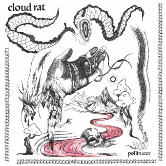 Cloud Rat - Pollinator - DCD