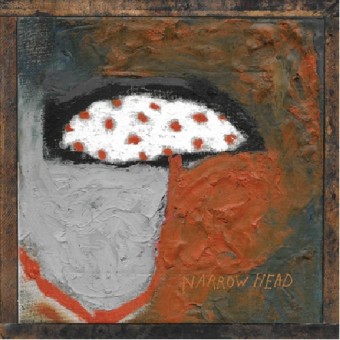 Narrow Head - 12th House Rock - DOUBLE LP GATEFOLD COLORED