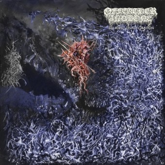 Of Feather And Bone - Sulfuric Disintegration - CD