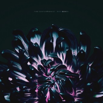 The Contortionist - Our Bones - CD