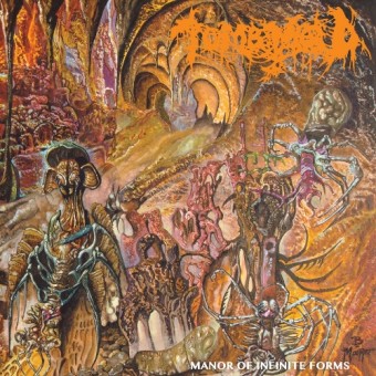 Tomb Mold - Manor of Infinite Forms - CD