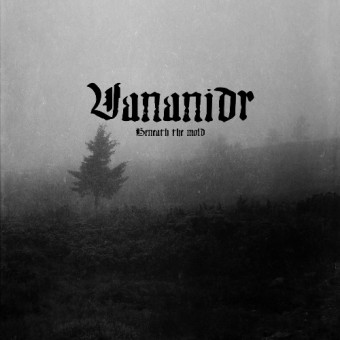 Vananidr - Beneath the mold - LP COLORED