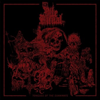 Vile Ritual - Tongues of the Exanimate - LP