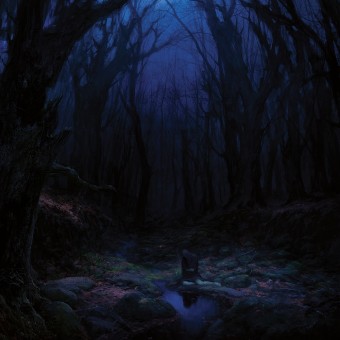 Woods Of Desolation - Torn Beyond Reason - CD DIGIPAK + Digital