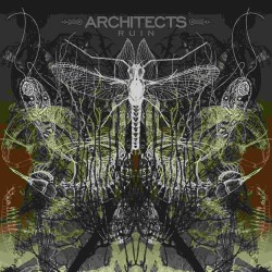 Architects - Ruin - LP
