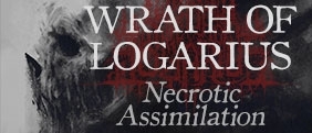 Wrath of Logarius